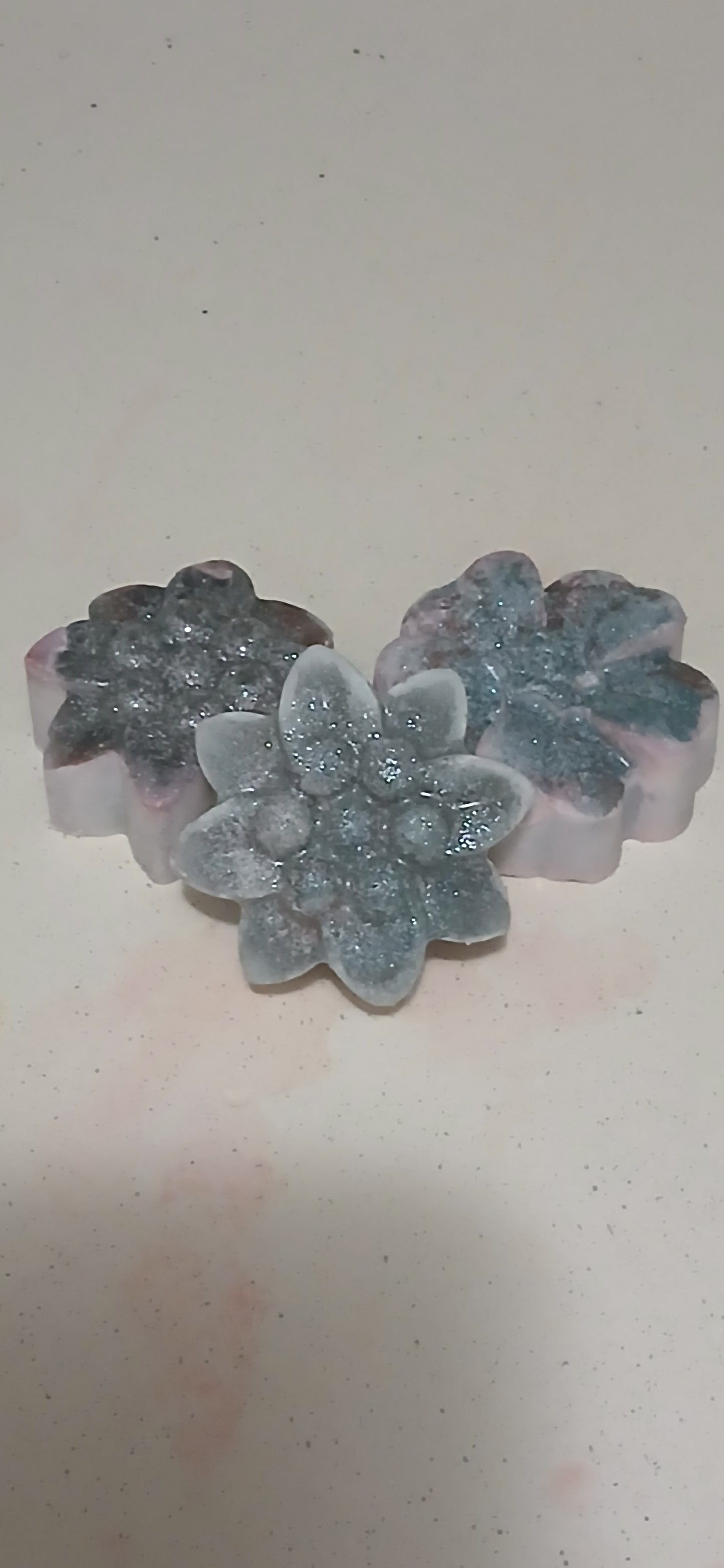 Ebony Musk and Vintage Reserve Mixed Wax Melts